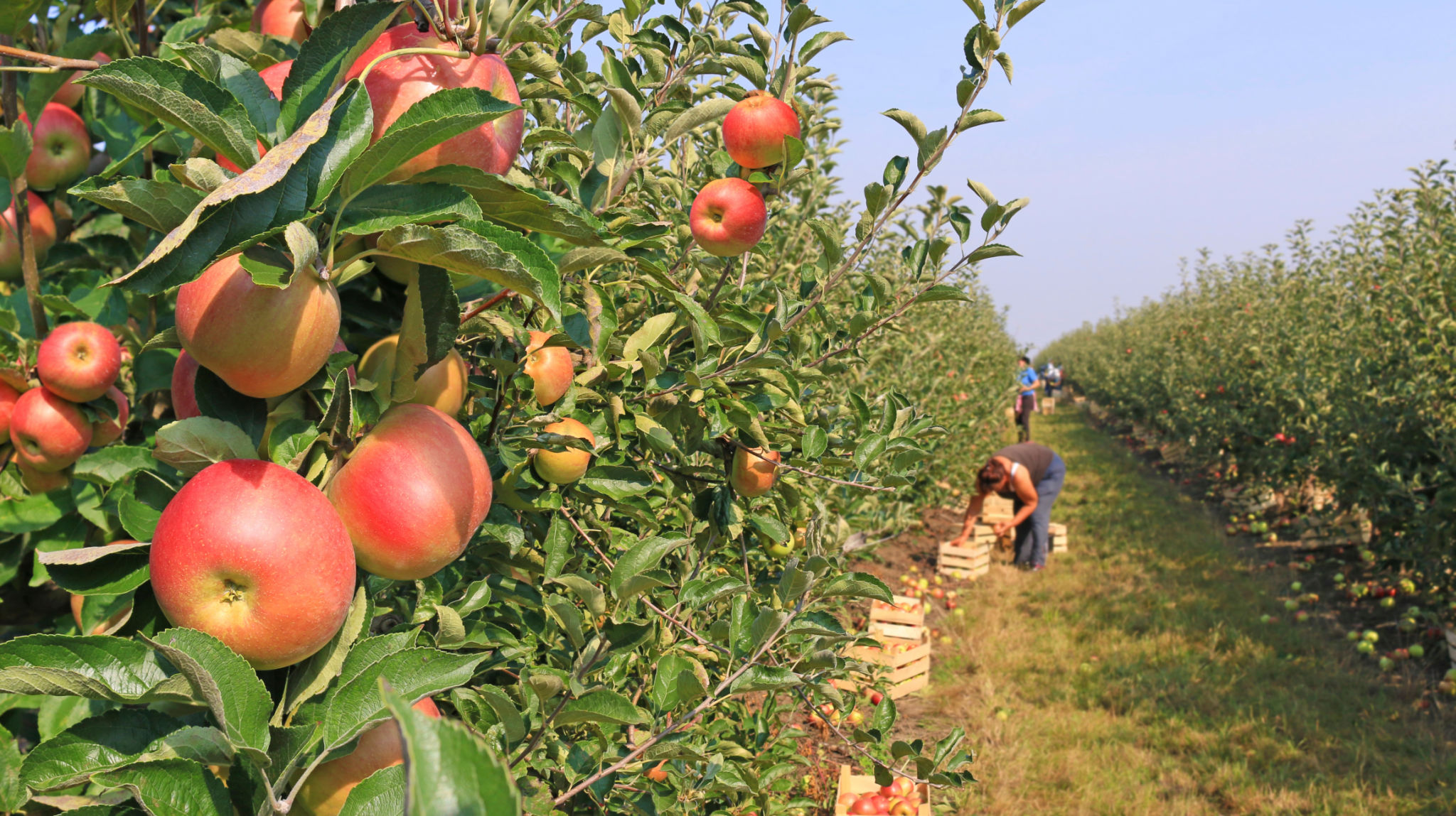 seasonal jobs