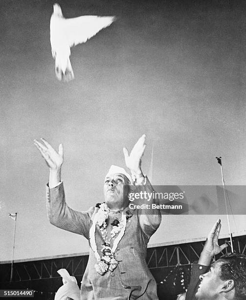 India's Prime Minister Pandit Nehru is shown just after he released a white pigeon, symbolic of peace, prosperity, and freedom, at a reception held...