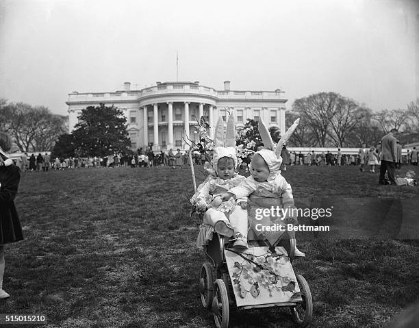 Washington, DC- Little Darlene Johansen, 22 mos., and her 9 month old brother, Fred. These kids were amoung the thousands of children who gambled on...