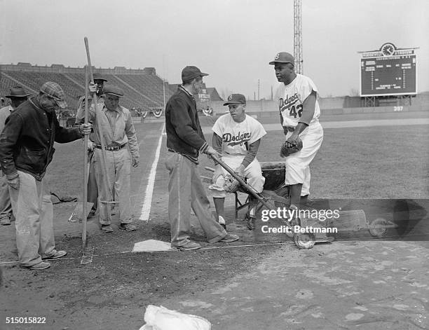 Scheduled to play their first game in Jersey City tomorrow against the Phillies, the Brooklyn Dodgers worked out at Roosevelt Stadium today in...