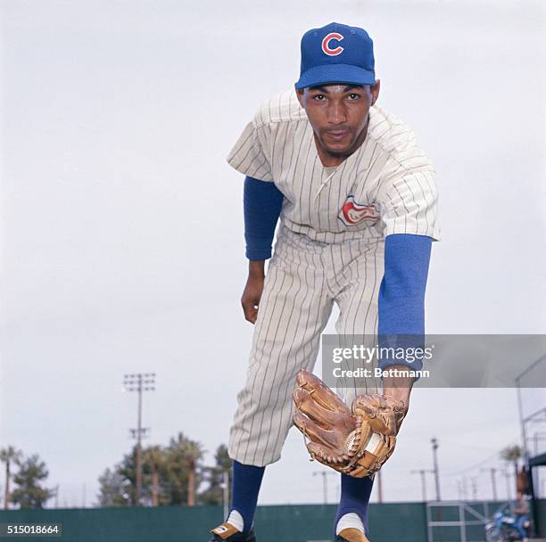 Mesa, Arizona: Billy Williams of the Chicago Cubs during spring training.