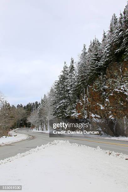 newfound gap rd - newfound gap ストックフォトと画像