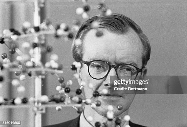 New York: Of Men And Molecules. Standing by the three-dimensional model of a molecule, Dr. Maurice Hugh Frederick Wilkins was seen during a press...