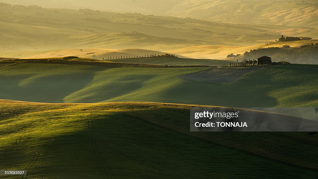 Tuscan Fields