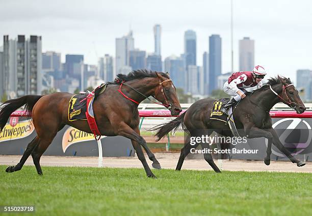 Harry Coffey riding Felicienne wins Race 8 the Schweppervescence Trophy ahead of riderless horse Noble Protector after its jockey Craig Williams fell...