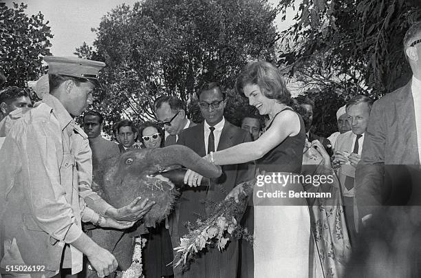 Mrs. Jacqueline Kennedy, wife of the USA President made a new friend today, an 11 month old baby elephant called "Urvashi" the name of a Hindu fairy....