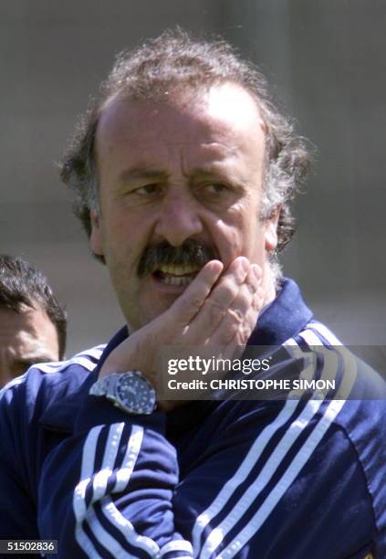 Spanish Real Madrid soccer team coach Vincente Del Bosque looks on 15 March 2000 during a training session of the team in Madrid. The coach and...