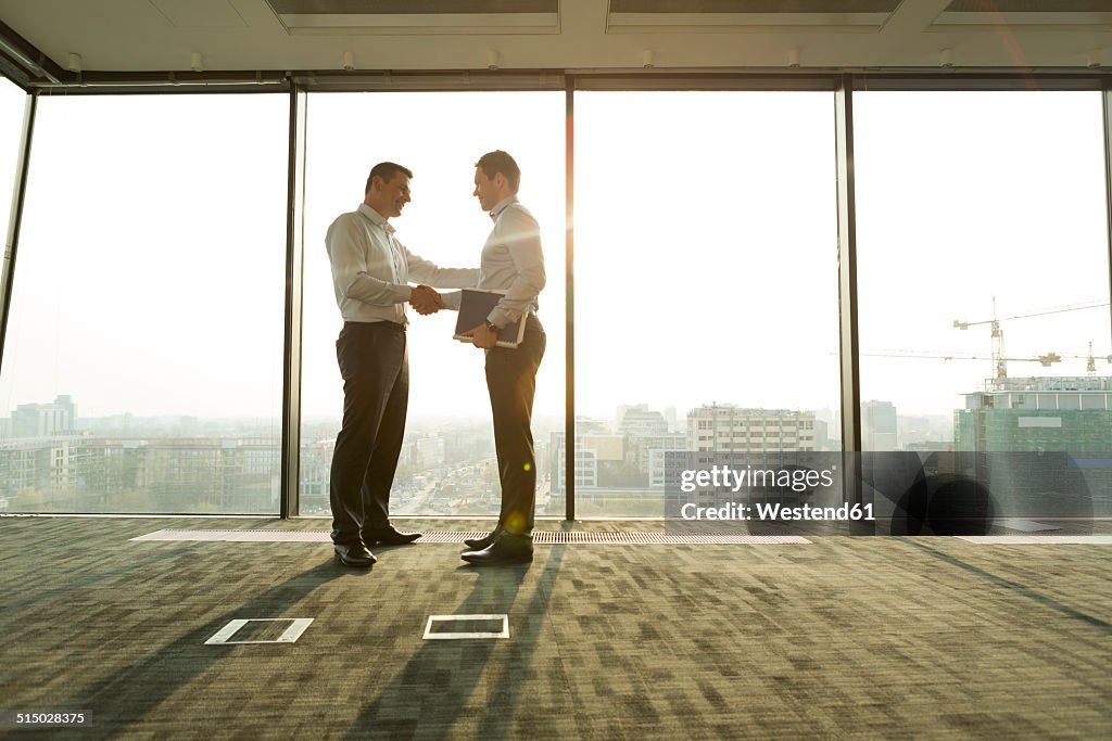 Two businessmen in sunny office shaking hands