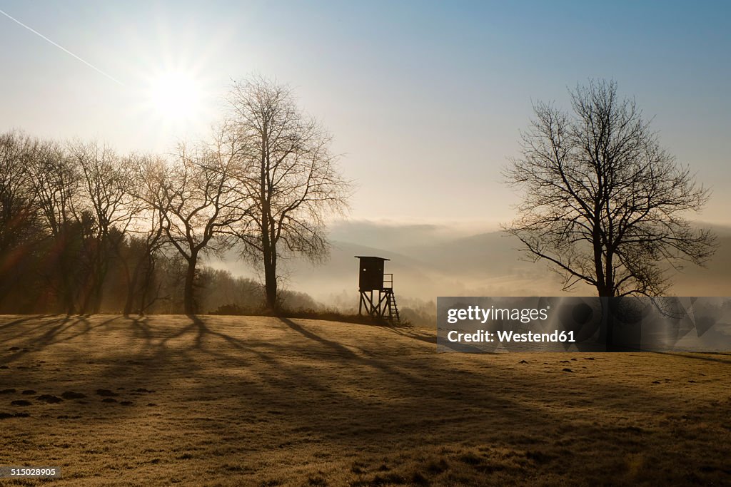 Germany, North Rhine-Westphalia, Bergisches Land, landscape with raised hide at morning mist