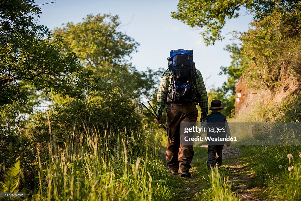 Germany, Rhineland-Palatinate, Moselsteig, father and his little son hiking, back view