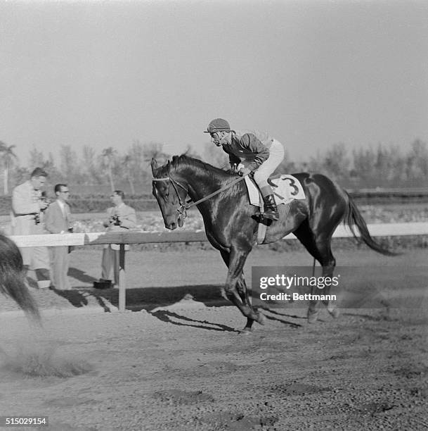 Traditionally, the Kentucky Derby is a race of excitement, high drama and surprises. Many truly great horses have won the derby; many great ones have...