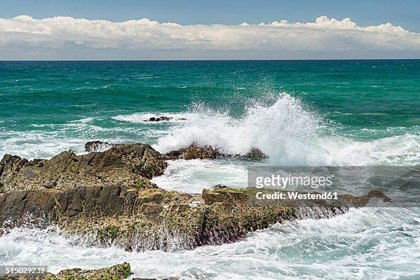 australia, new south wales, byron bay, broken head nature reserve,waves breaking on rocks - byron bay hinterland stockfoto's en -beelden