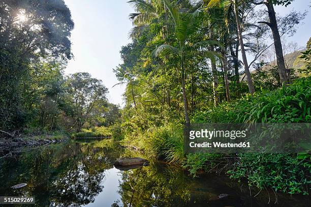 australia, new south wales, wanganui, coopers creek, waterhole with rocks and vegetation - whanganui stock pictures, royalty-free photos & images