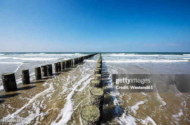 netherlands, zeeland, walcheren, domburg, beach with breakwaters - zeeland netherlands stock pictures, royalty-free photos & images
