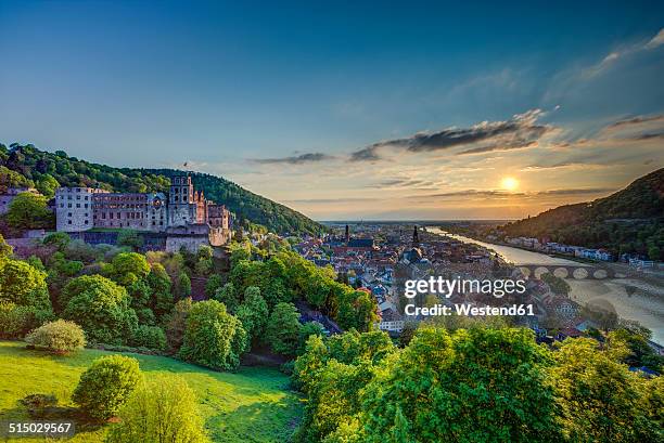 germany, heidelberg, heidelberg castle and neckar river - heidelberg germany fotografías e imágenes de stock