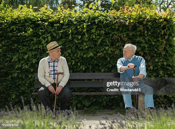 germany, worms, two old friends sitting on bench in park - banco del parque fotografías e imágenes de stock