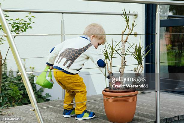 little boy finding an easter egg in plant pot - pot plant gift stock pictures, royalty-free photos & images