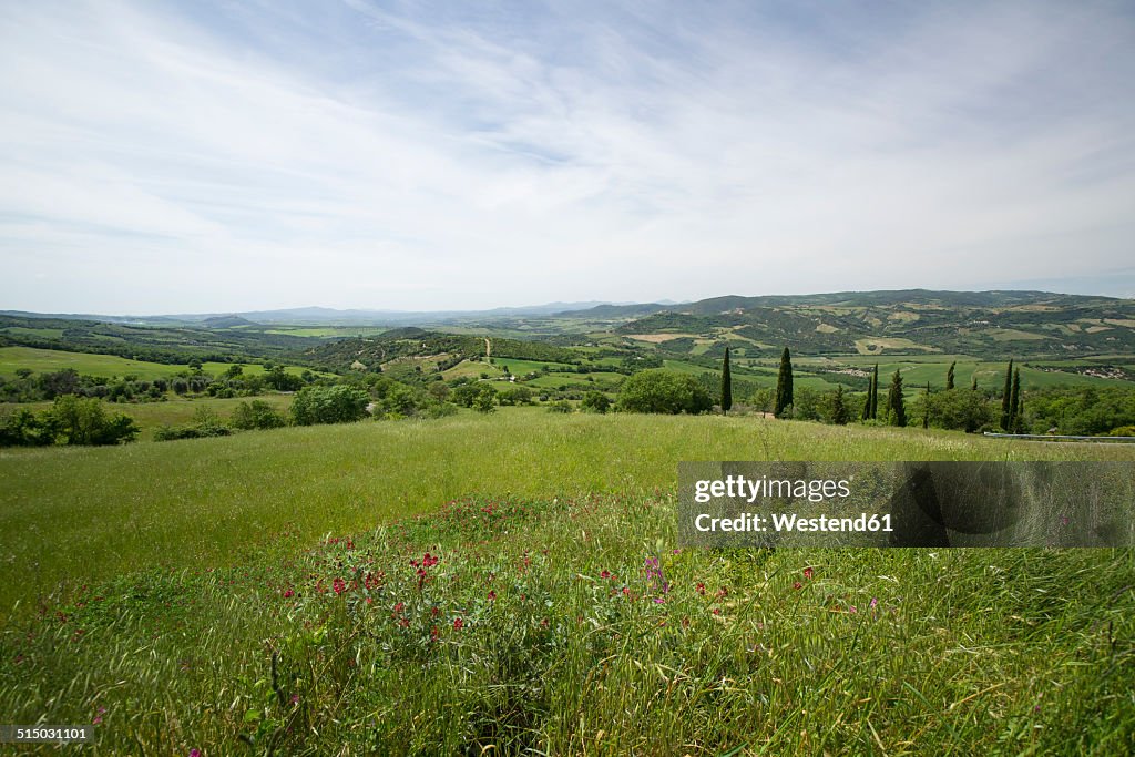 Italy, Tuscany, Landscape near Pienza
