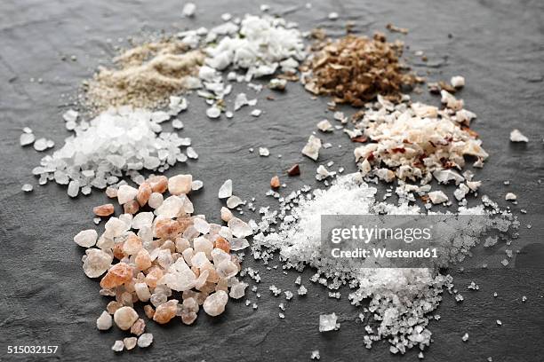 different types of salt crystals, sea salt, himalaya coarse salt, fleur de sel, chipotle flingsalt, hickory smoked salt, stone salt and garlic salt - salado fotografías e imágenes de stock