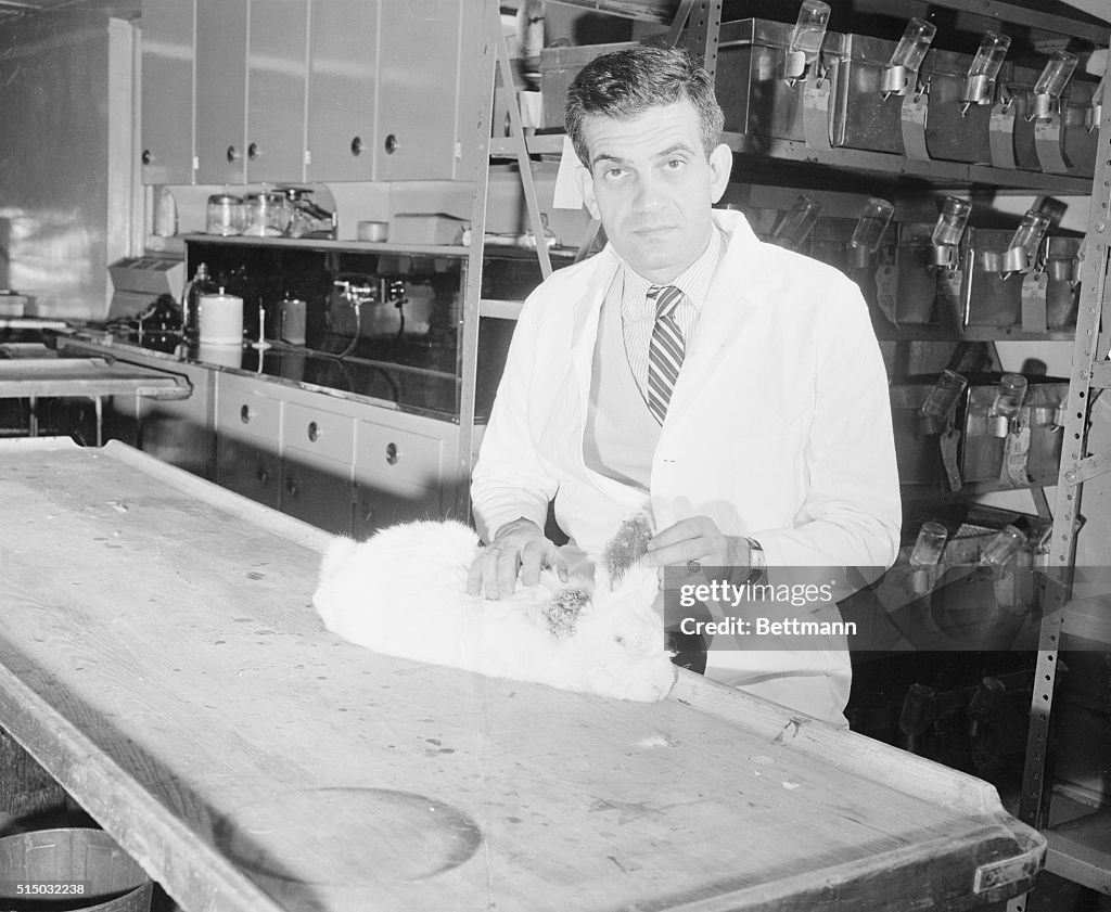 Dr. Ernest L. Wynder with a Rabbit