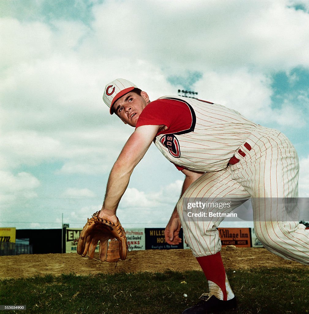 Pete Rose in Spring Training