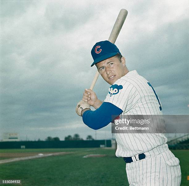 Ron Santo, Chicago Cubs infielder, during spring training. Posed batting shot.