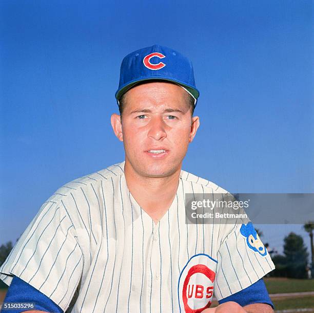 Mesa, Arizona: Ron Santo, of the Chicago Cubs, during spring training.