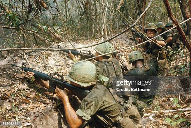 This is a view with "C" Company Infantry 2nd Brigade 1st Infantry Division , in operation at "Junction City," 10 kilometers East of the border, 25...