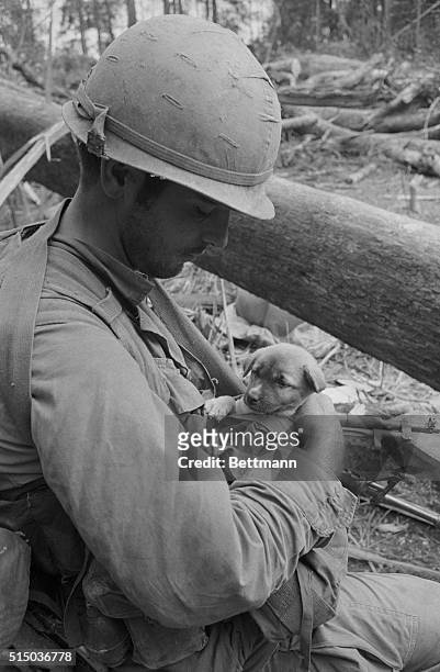 Dak To, South Vietnam: Pfc. Paul Krustchinsky of Houston, Tex., cuddles little "K-Niner," the puppy whose master was wounded during the savage...