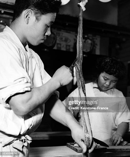 Kitchen helper cuts off the snakes skin with a pair of scissors during the preparations to cook it in Japan.