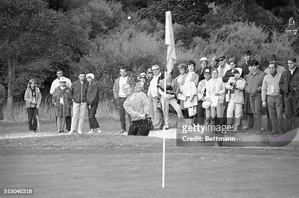 Jack Nicklaus, North Palm Beach, Florida, almost had a birdie with this great chip out of a trap on the second hole at Pebble Beach 1/14 during final...