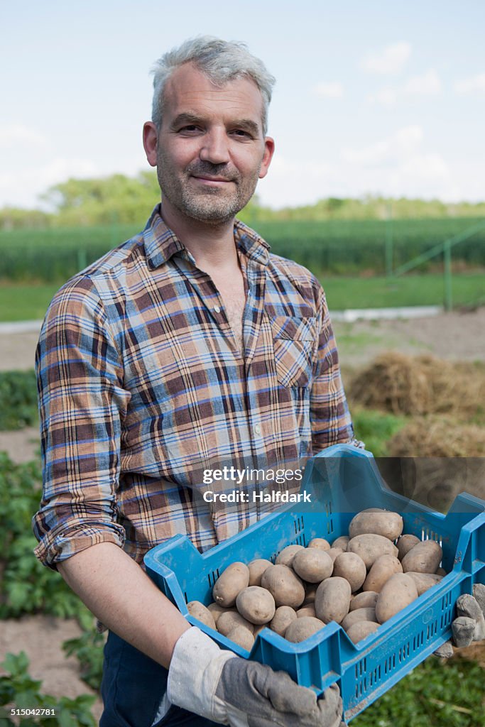 Portrait of confident man carrying crate of harvested potatoes at community garden