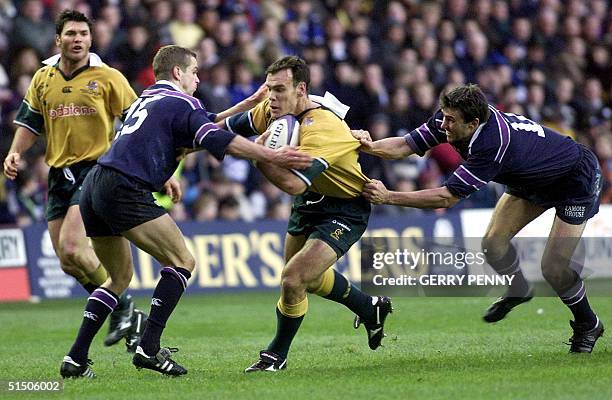 Nathan Grey Rugby 419 Nathan Grey Rugby Player Stock Photos, High-Res Pictures, and ...