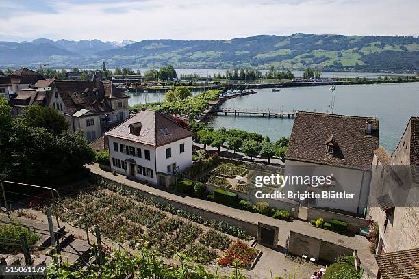 Rose Garden in Rapperswil , Schlossberg and Einsiedlerhaus. Lake of Zurich , Obersee, Swiss Alps and the Seedamm in the background.