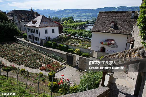 Rose Garden in Rapperswil , Schlossberg and Einsiedlerhaus, Switzerland.