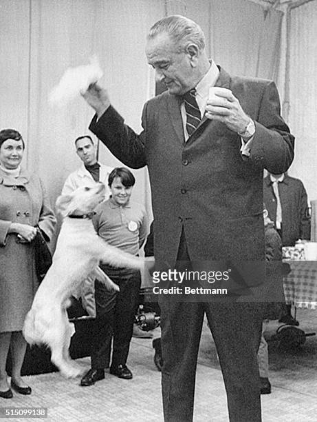 President Lyndon johnson plays with White House pet "Yuki" shortly after holding a press conference the first of the New Year, at his Texas ranch....