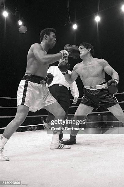 Split second later than this, Jimmy Ellis right-cross-landed on Oscar Bonavena's nose in the tenth round of their heavyweight elimination fight....