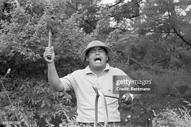 Following through with his gag on the spectators, Lee Trevino pulls a hatchet from his golf bag to kill the toy snake he placed in the rough during a...