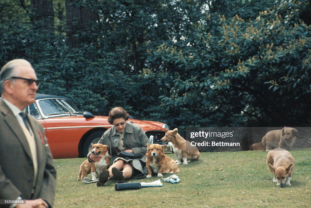 Queen Elizabeth II Sitting with Dogs