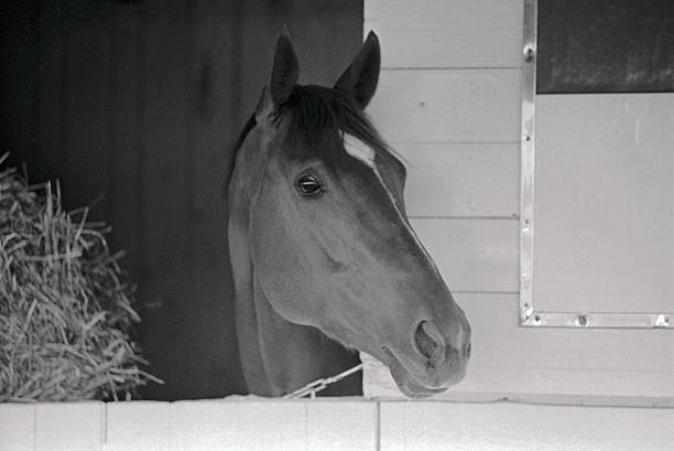 NY: On This Day - June 09 - Secretariat Wins Triple Crown