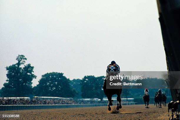 Secretariat leads the field around the first turn at Belmont Park during the Belmont Stakes.