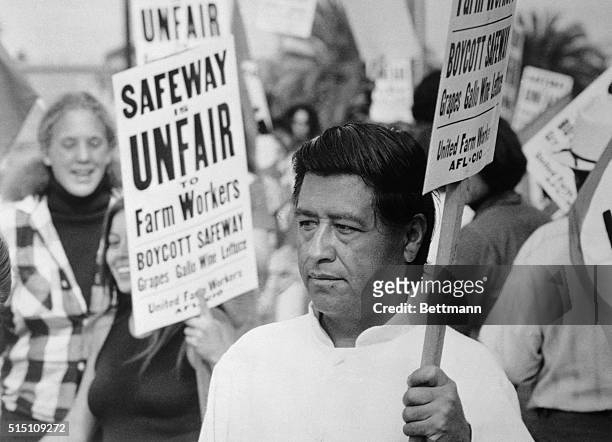 Farm labor leader Cesar Chavez pickets here outside San Diego area headquarters of Safeway markets. Picketing was in protest over the arrest of 29...
