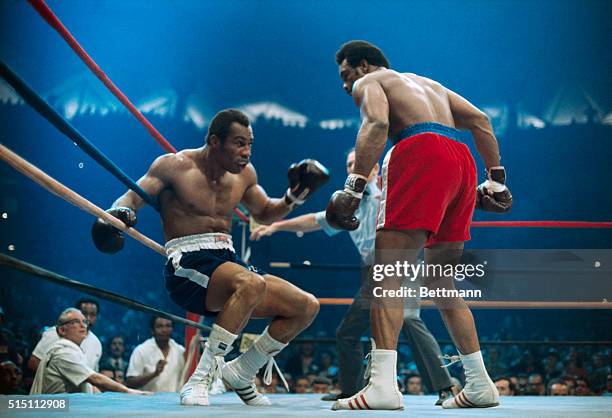 Ken Norton is groggy on the ropes after receiving a blow from heavyweight George Foreman.