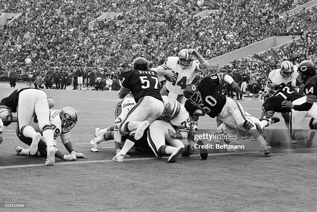 Football Action with The Bears and Forty Niners