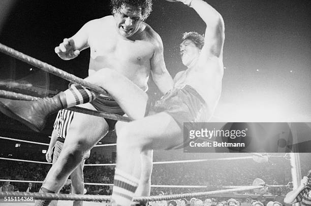 Chuck Wepner is draped on the ropes, about to fall through, after Andre the Giant picked him up and tossed him out of the ring in the third round of...
