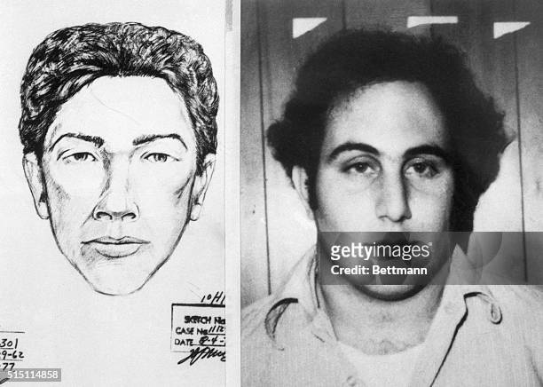 Police sketch of the suspect in the Son of Sam killings, and the official police headshot of the murderer, David Berkowitz.