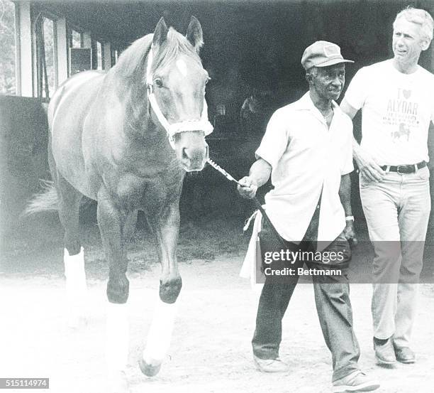 New York: Alydar, who finished second to Affirmed in all three races of the Triple Crown battle in 1978, leaves Belmont Park for Calumet Farms, where...
