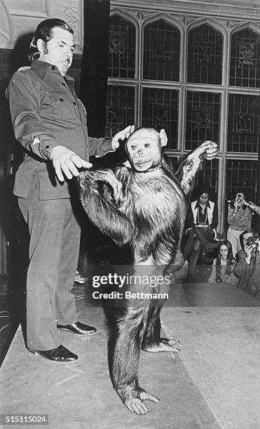 Oliver the Chimpanzee and South African animal handler Frank Burger before the press on March 14, 1976 in New York City. The chimpanzee was four and...