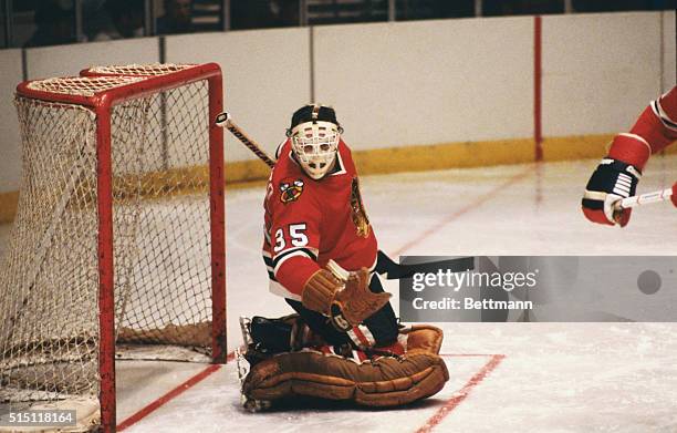 Tony Esposito, goalie for the Chicago Black Hawks, guarding the net.