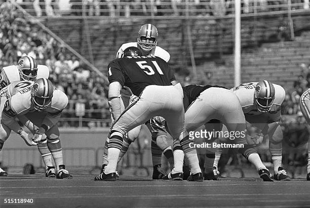 Detroit Lions' quarterback Greg Landry turns toward Dick Butkus, Bears middle linebacker, with a smile as he calls signals during the first quarter...